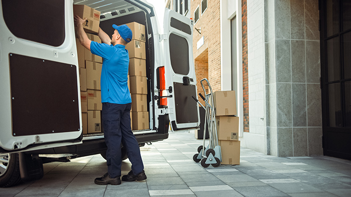 Long-Distance Movers Ottawa to Quebec City — Direct-Route, Fully Insured — Ottawa moving services