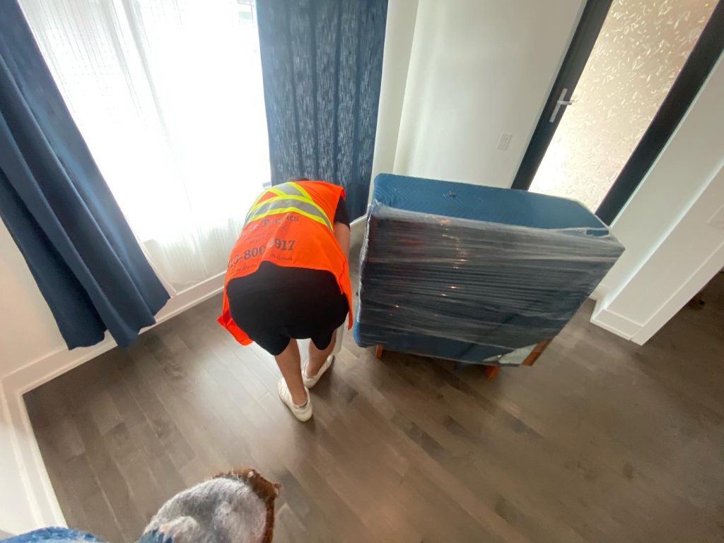 Last minute movers Ottawa
